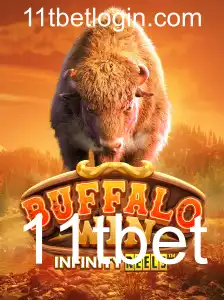BuffaloWin: Descubra a Emoção e as Regras do Novo Jogo em 11tbet