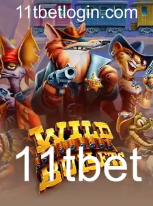 Desvendando WildBullets: Um Guia Completo